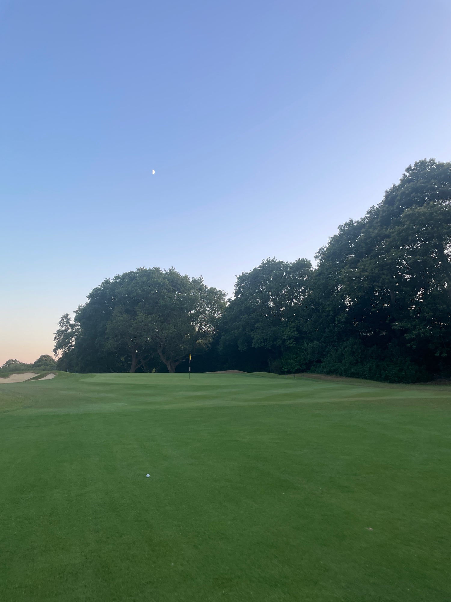 Green golf course with trees under a clear blue sky