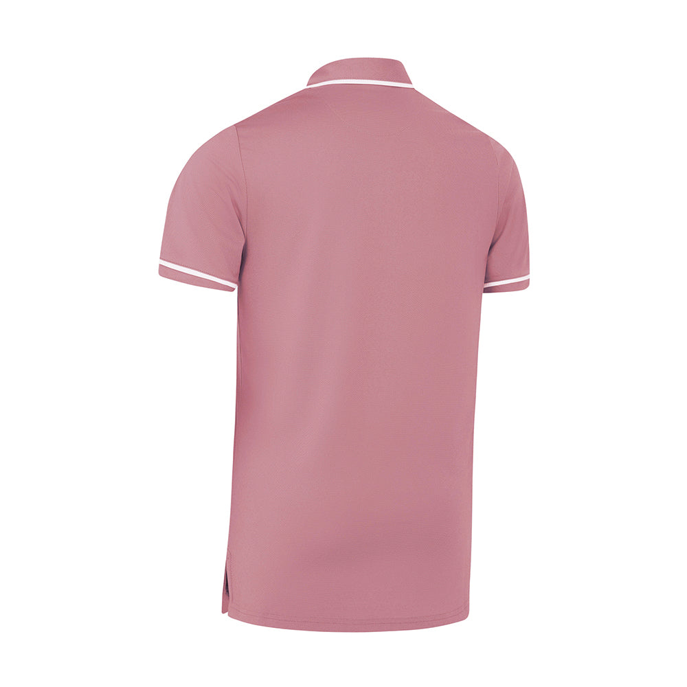 Original Penguin Ladies Piped Short Sleeve Polo in Cashmere Rose